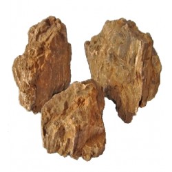 FOSSILIZED WOOD