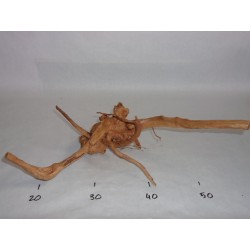 BRANCHY DRIFTWOOD - M size