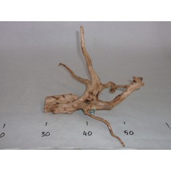 BRANCHY DRIFTWOOD - S size