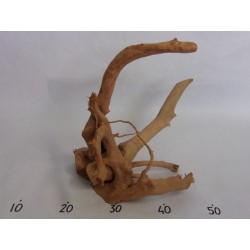 BRANCHY DRIFTWOOD - M size