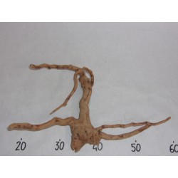 BRANCHY DRIFTWOOD - S size